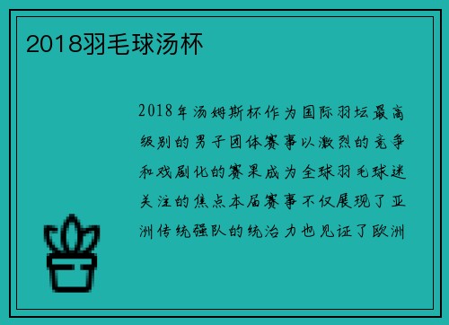 2018羽毛球汤杯