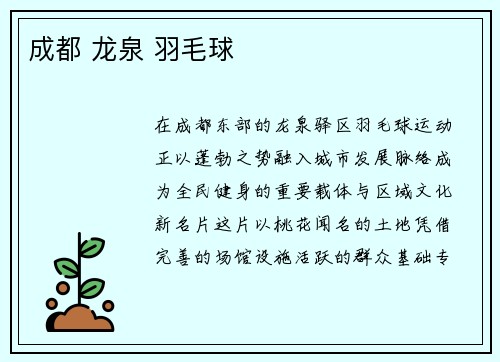 成都 龙泉 羽毛球