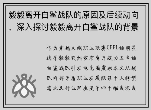 毅毅离开白鲨战队的原因及后续动向，深入探讨毅毅离开白鲨战队的背景。