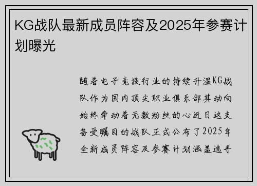 KG战队最新成员阵容及2025年参赛计划曝光